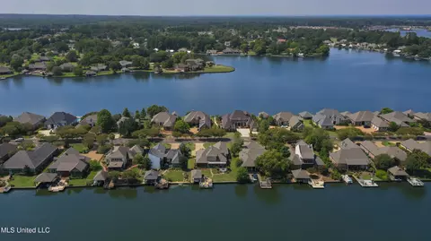 View/Area - 154 Belle Pointe Pointe, Madison, MS 39110 photo 12 of 17
