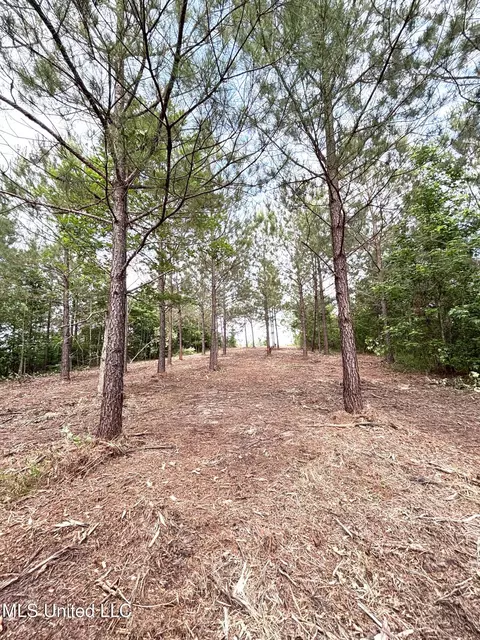 County Rd 5034, Kosciusko, MS 39090 photo 2