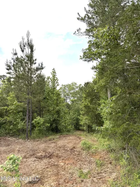 County Rd 5034, Kosciusko, MS 39090 photo 8
