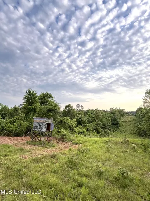 County Rd 5034, Kosciusko, MS 39090 photo 6