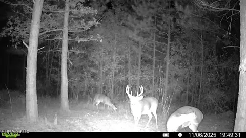 County Rd 5034, Kosciusko, MS 39090 photo 11