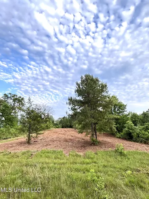 County Rd 5034, Kosciusko, MS 39090 photo 7