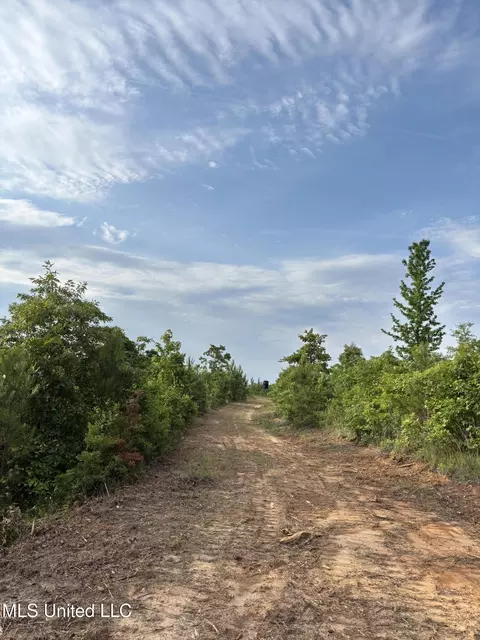 County Rd 5034, Kosciusko, MS 39090 photo 9