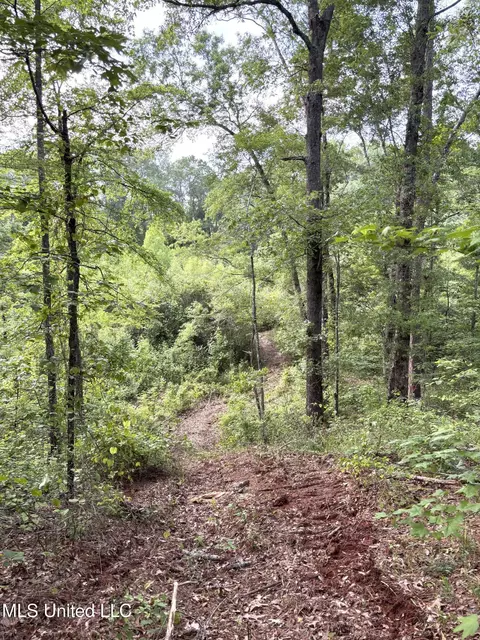County Rd 5034, Kosciusko, MS 39090 photo 5