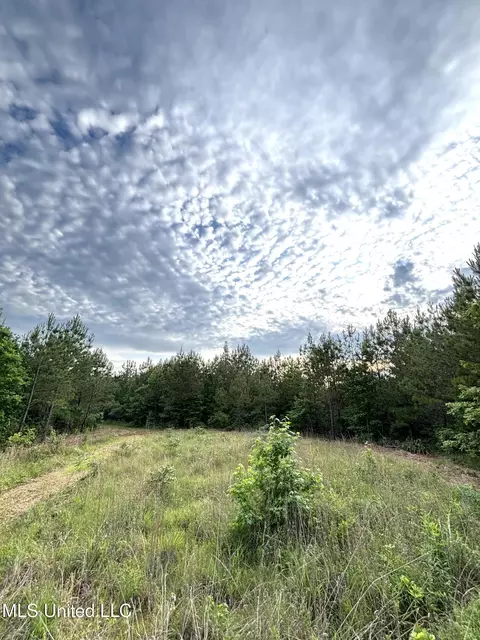 County Rd 5034, Kosciusko, MS 39090 photo 4