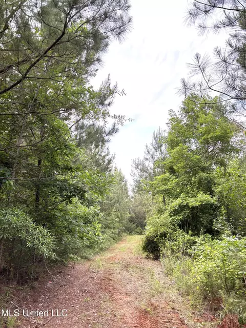 County Rd 5034, Kosciusko, MS 39090 photo 3