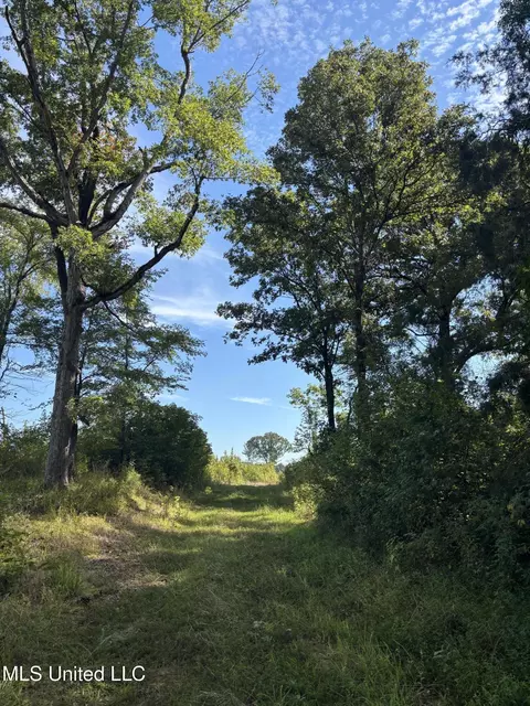 Ebenezer-coxburg Rd, Lexington, MS 39095