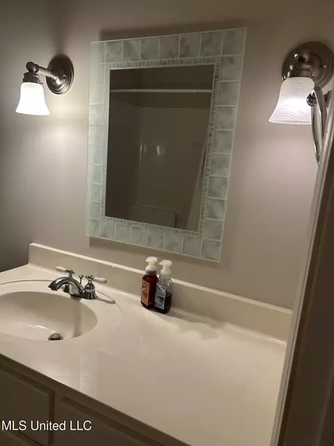 Bath - 226 Pine View Cir, Flora, MS 39071 photo 5 of 6