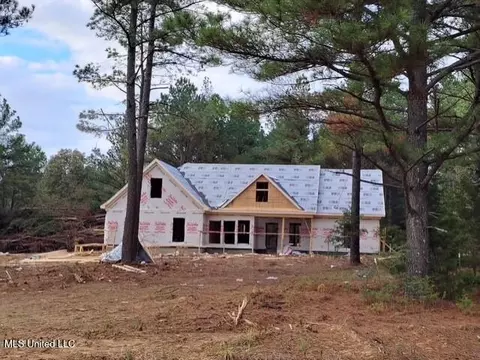787 Pigeon Roost Rd, Coldwater, MS 38618