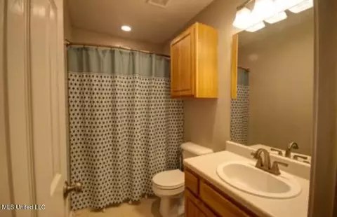 Bath - 623 Sandpiper Dr, Brandon, MS 39047 photo 3 of 4