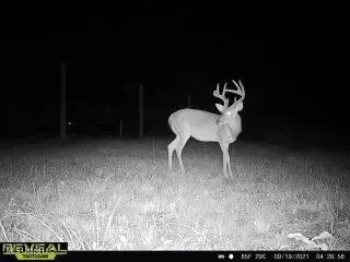 Other - 52 Ogden Rd, Natchez, MS 39120 photo 15 of 18