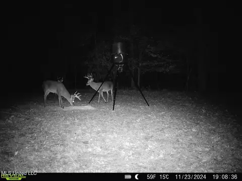 Other - 52 Ogden Rd, Natchez, MS 39120 photo 18 of 18