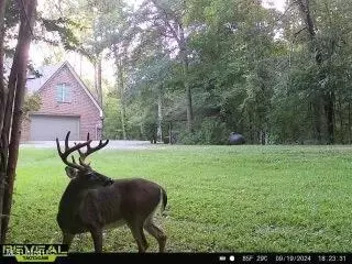 Exterior - 52 Ogden Rd, Natchez, MS 39120 photo 14 of 21