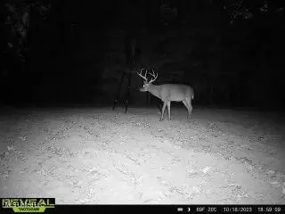 Other - 52 Ogden Rd, Natchez, MS 39120 photo 13 of 18