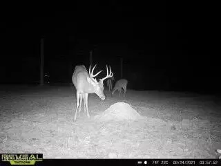 Other - 52 Ogden Rd, Natchez, MS 39120 photo 14 of 18