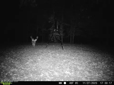 Other - 52 Ogden Rd, Natchez, MS 39120 photo 12 of 18