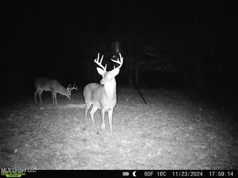 Other - 52 Ogden Rd, Natchez, MS 39120 photo 17 of 18