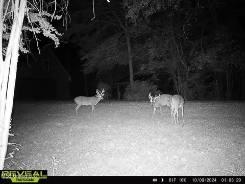 Other - 52 Ogden Rd, Natchez, MS 39120 photo 16 of 18
