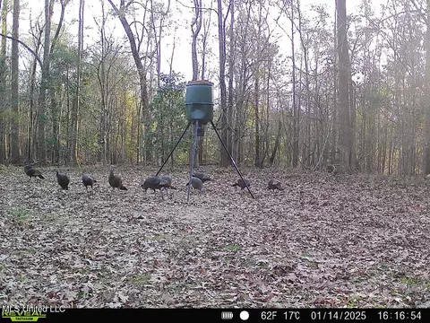 Exterior - 52 Ogden Rd, Natchez, MS 39120 photo 19 of 21