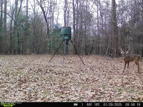 Exterior - 52 Ogden Rd, Natchez, MS 39120 photo 21 of 21