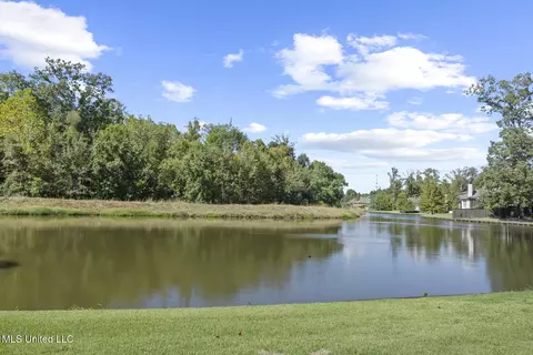 View/Area - 101 Red Leaf Cv, Ridgeland, MS 39157 photo 2 of 3