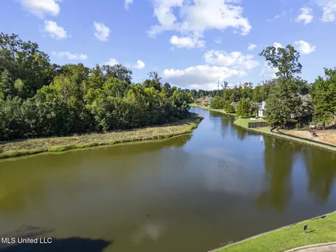 View/Area - 101 Red Leaf Cv, Ridgeland, MS 39157 photo 3 of 3