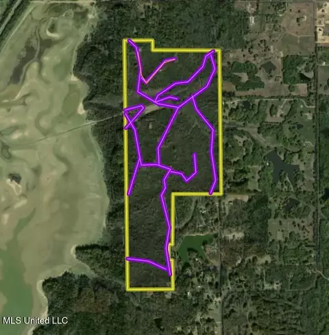 Davis Lane, Hernando, MS 38632 photo 39