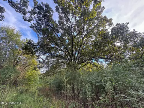 Davis Lane, Hernando, MS 38632 photo 35