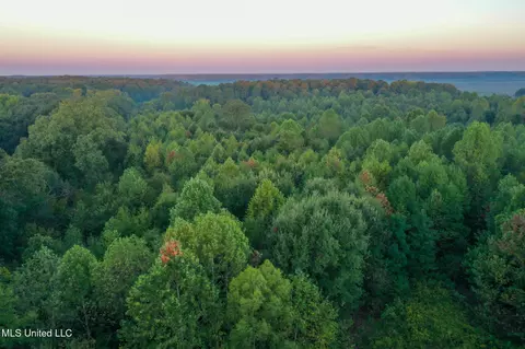Davis Lane, Hernando, MS 38632 photo 13