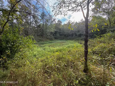 Davis Lane, Hernando, MS 38632 photo 27