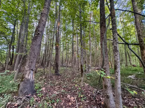 Davis Lane, Hernando, MS 38632 photo 25