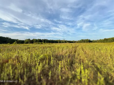 Davis Lane, Hernando, MS 38632 photo 10