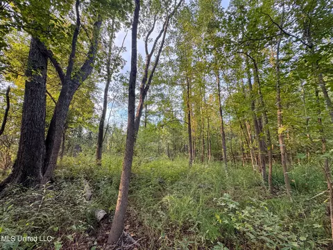 Davis Lane, Hernando, MS 38632 photo 24