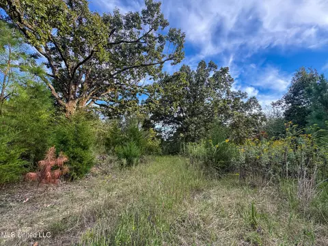 Davis Lane, Hernando, MS 38632 photo 38