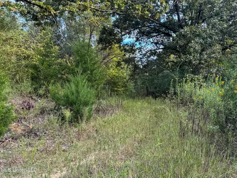 Davis Lane, Hernando, MS 38632 photo 36