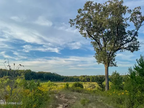 Davis Lane, Hernando, MS 38632 photo 29