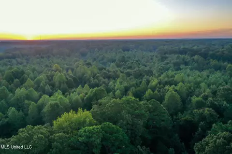 Davis Lane, Hernando, MS 38632 photo 12