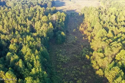 Davis Lane, Hernando, MS 38632 photo 19