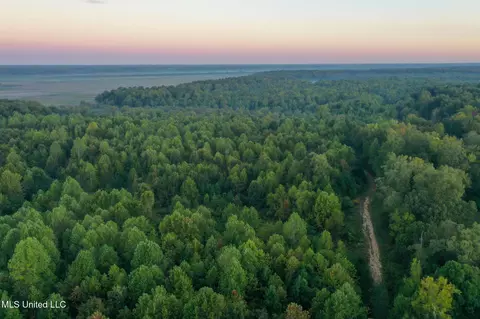 Davis Lane, Hernando, MS 38632 photo 11