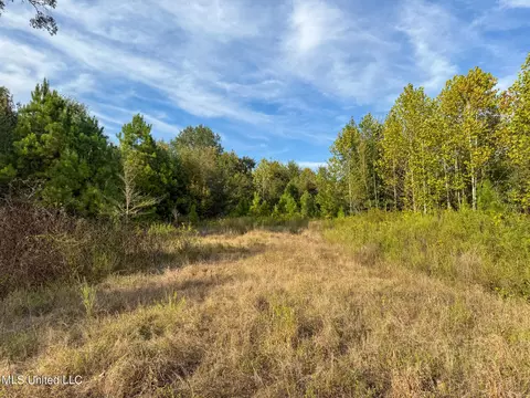 Davis Lane, Hernando, MS 38632 photo 33