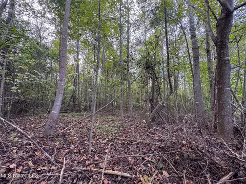 Davis Lane, Hernando, MS 38632 photo 26