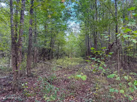 Davis Lane, Hernando, MS 38632 photo 21