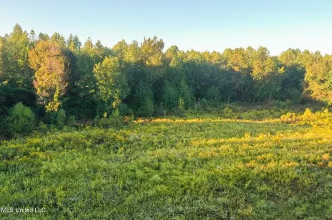 Davis Lane, Hernando, MS 38632 photo 7