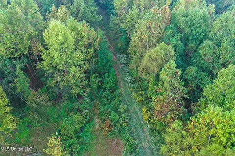 Davis Lane, Hernando, MS 38632 photo 5