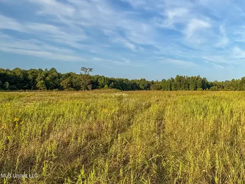 Davis Lane, Hernando, MS 38632 photo 30