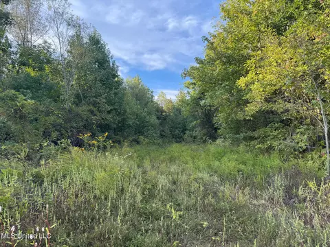 Davis Lane, Hernando, MS 38632 photo 31