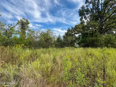 Davis Lane, Hernando, MS 38632 photo 37
