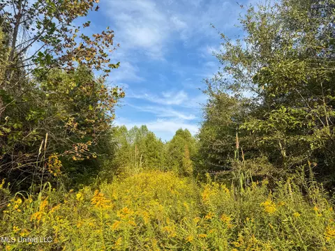 Davis Lane, Hernando, MS 38632 photo 32