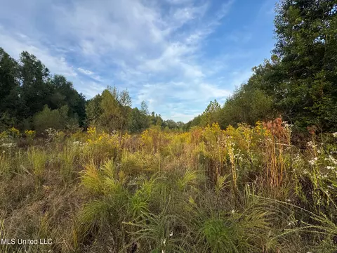 Davis Lane, Hernando, MS 38632 photo 22