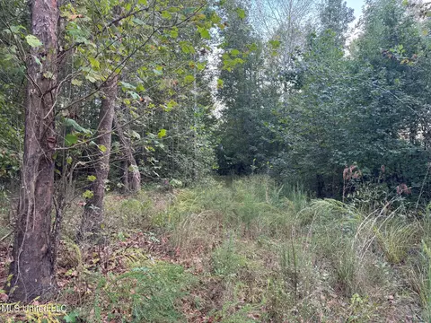 Davis Lane, Hernando, MS 38632 photo 20